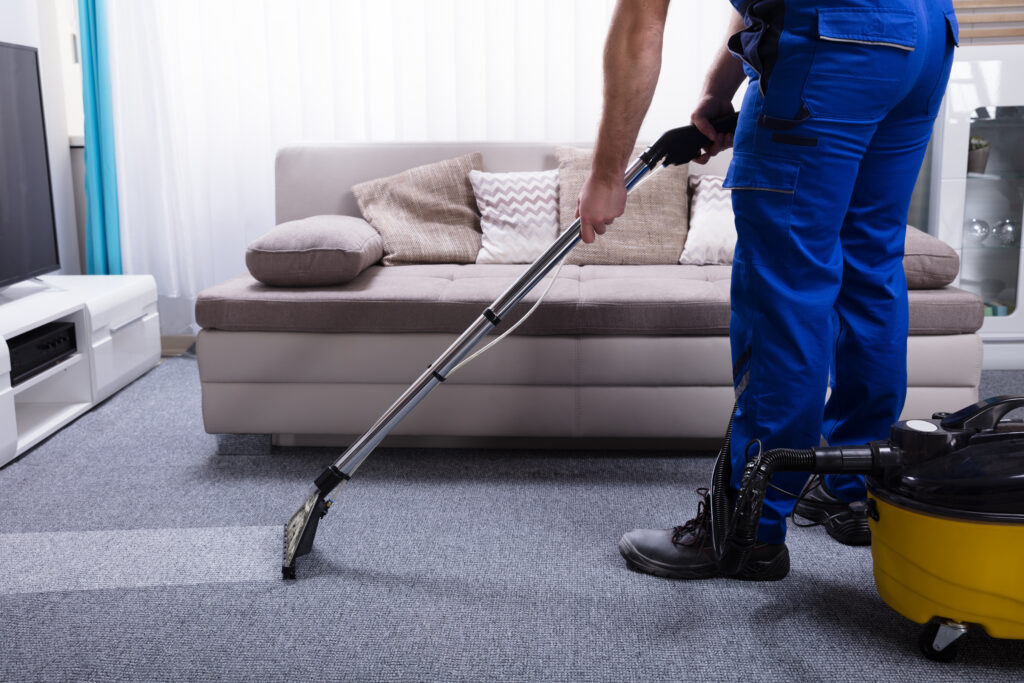 Professional Carpet Cleaning