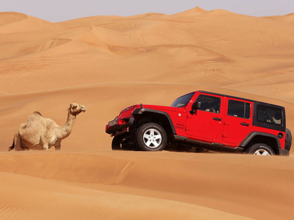 Desert Safari