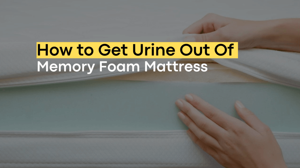 How to Get Urine Out of Memory Foam Mattress