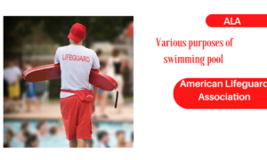 Lifeguard and swimming pool