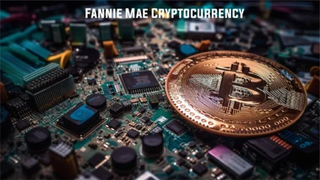 Fannie Mae Cryptocurrency – Game-Changer for Your Dream Home Fannie Mae Cryptocurrency