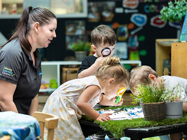 The Magic of Early Learning: A Tour Through Sunshine Coast's Best Daycares